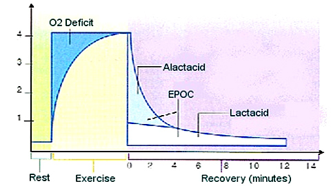 EPOC