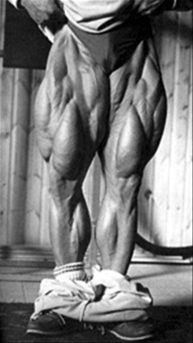 Tom platz best sale training routine