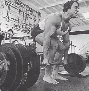 arnold