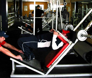 Bulk Up, Cut Up! 3 | T NATION